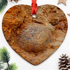 Shell Fossil Ii Ornament (heart) by okhismakingart