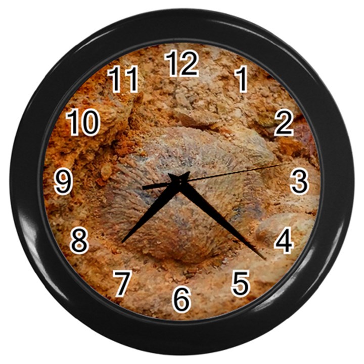 Shell Fossil II Wall Clock (Black)