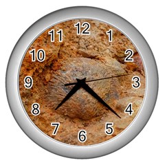 Shell Fossil Ii Wall Clock (silver) by okhismakingart