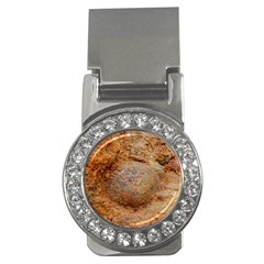 Shell Fossil Ii Money Clips (cz)  by okhismakingart