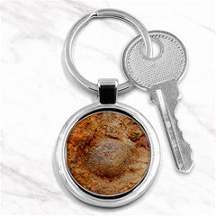 Shell Fossil Ii Key Chains (round)  by okhismakingart