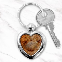 Shell Fossil Ii Key Chains (heart)  by okhismakingart