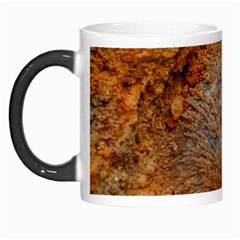 Shell Fossil Ii Morph Mugs by okhismakingart