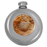 Shell Fossil II Round Hip Flask (5 oz) Front