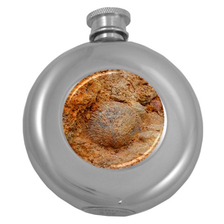 Shell Fossil II Round Hip Flask (5 oz)