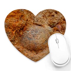 Shell Fossil Ii Heart Mousepads by okhismakingart