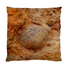 Shell Fossil Ii Standard Cushion Case (one Side) by okhismakingart