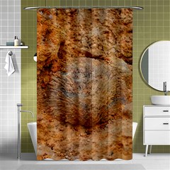 Shell Fossil Ii Shower Curtain 48  X 72  (small)  by okhismakingart