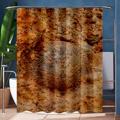 Shell Fossil Ii Shower Curtain 60  X 72  (medium)  by okhismakingart