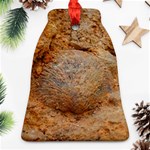 Shell Fossil II Ornament (Bell) Front