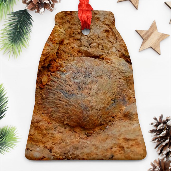 Shell Fossil II Ornament (Bell)