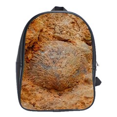 Shell Fossil Ii School Bag (xl) by okhismakingart