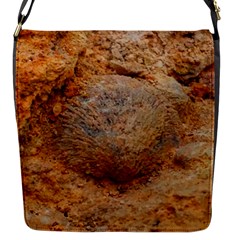 Shell Fossil Ii Flap Closure Messenger Bag (s) by okhismakingart