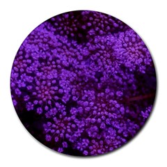 Purple Queen Anne s Lace Landscape Round Mousepads by okhismakingart