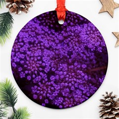 Purple Queen Anne s Lace Landscape Ornament (round) by okhismakingart