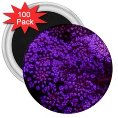 Purple Queen Anne s Lace Landscape 3  Magnets (100 Pack) by okhismakingart