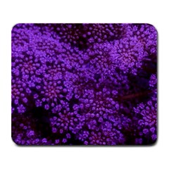 Purple Queen Anne s Lace Landscape Large Mousepads by okhismakingart