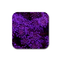 Purple Queen Anne s Lace Landscape Rubber Square Coaster (4 Pack)  by okhismakingart