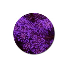 Purple Queen Anne s Lace Landscape Magnet 3  (round) by okhismakingart