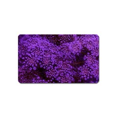 Purple Queen Anne s Lace Landscape Magnet (name Card) by okhismakingart