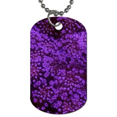 Purple Queen Anne s Lace Landscape Dog Tag (two Sides) by okhismakingart