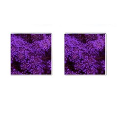 Purple Queen Anne s Lace Landscape Cufflinks (square) by okhismakingart