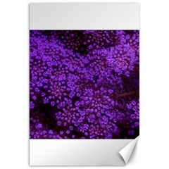 Purple Queen Anne s Lace Landscape Canvas 20  X 30  by okhismakingart