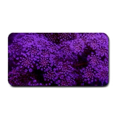 Purple Queen Anne s Lace Landscape Medium Bar Mats by okhismakingart