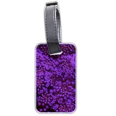 Purple Queen Anne s Lace Landscape Luggage Tags (two Sides) by okhismakingart