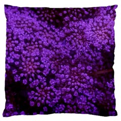 Purple Queen Anne s Lace Landscape Large Cushion Case (one Side) by okhismakingart