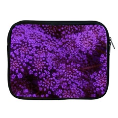 Purple Queen Anne s Lace Landscape Apple Ipad 2/3/4 Zipper Cases by okhismakingart