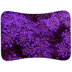 Purple Queen Anne s Lace Landscape Velour Seat Head Rest Cushion by okhismakingart