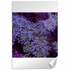 Blue Queen Anne s Lace Landscape Canvas 20  X 30  by okhismakingart