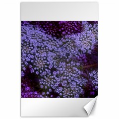 Blue Queen Anne s Lace Landscape Canvas 24  X 36  by okhismakingart