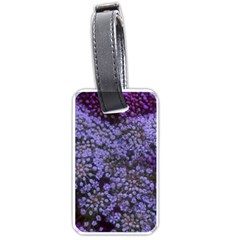 Blue Queen Anne s Lace Landscape Luggage Tags (one Side)  by okhismakingart