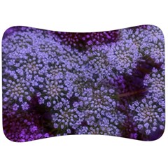 Blue Queen Anne s Lace Landscape Velour Seat Head Rest Cushion