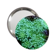 Green Queen Anne s Lace Landscape 2 25  Handbag Mirrors by okhismakingart