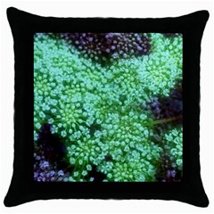 Green Queen Anne s Lace Landscape Throw Pillow Case (black) by okhismakingart