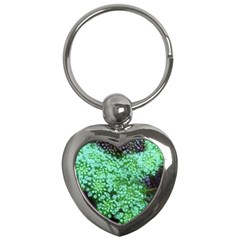 Green Queen Anne s Lace Landscape Key Chains (heart)  by okhismakingart