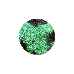 Green Queen Anne s Lace Landscape Golf Ball Marker (4 Pack) by okhismakingart