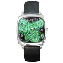 Green Queen Anne s Lace Landscape Square Metal Watch by okhismakingart