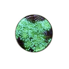 Green Queen Anne s Lace Landscape Hat Clip Ball Marker by okhismakingart