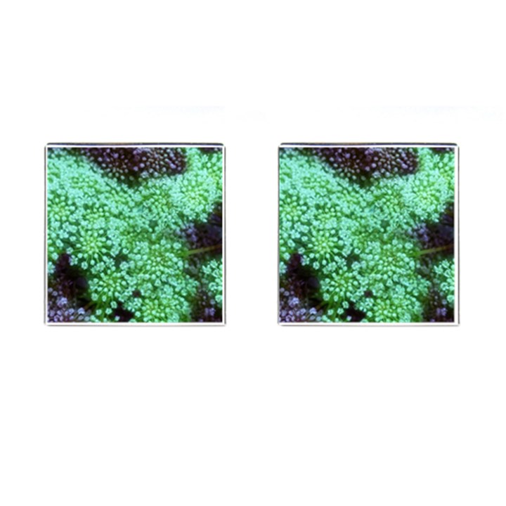 Green Queen Anne s Lace Landscape Cufflinks (Square)