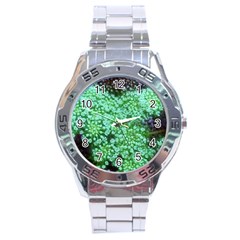 Green Queen Anne s Lace Landscape Stainless Steel Analogue Watch by okhismakingart