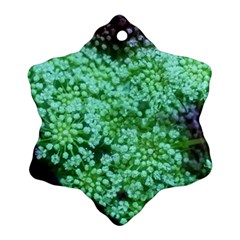 Green Queen Anne s Lace Landscape Snowflake Ornament (two Sides) by okhismakingart