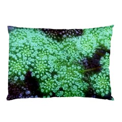 Green Queen Anne s Lace Landscape Pillow Case (two Sides) by okhismakingart