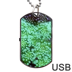 Green Queen Anne s Lace Landscape Dog Tag Usb Flash (two Sides) by okhismakingart