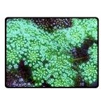 Green Queen Anne s Lace Landscape Double Sided Fleece Blanket (Small)  45 x34  Blanket Front