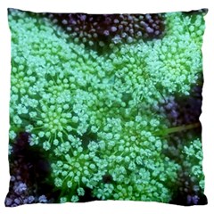 Green Queen Anne s Lace Landscape Standard Flano Cushion Case (one Side) by okhismakingart