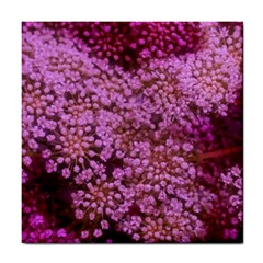 Pink Queen Anne s Lace Landscape Tile Coasters by okhismakingart